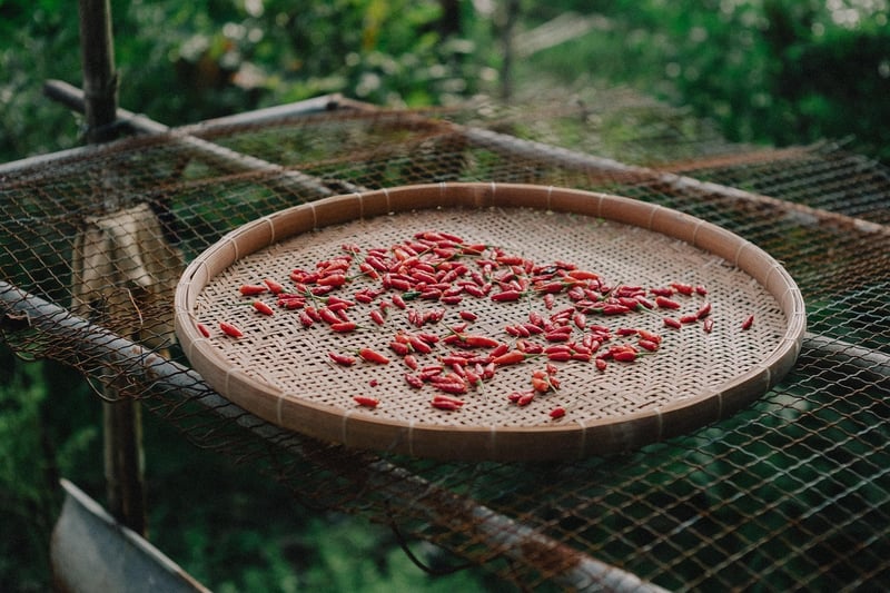 Spicy-Sweet Innovations